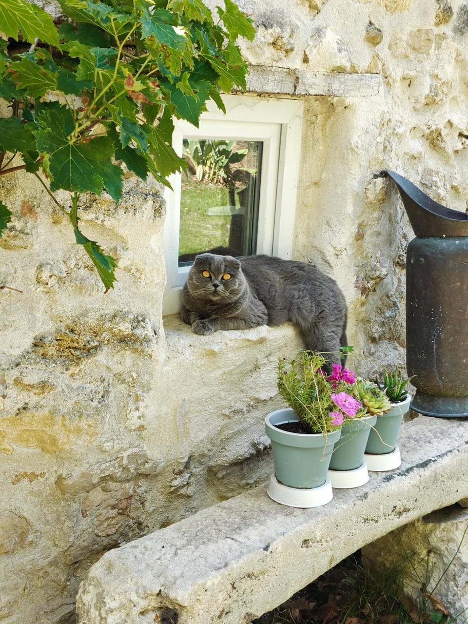La hulotte de Labarthe Country House in Nouvelle-Aquitaine