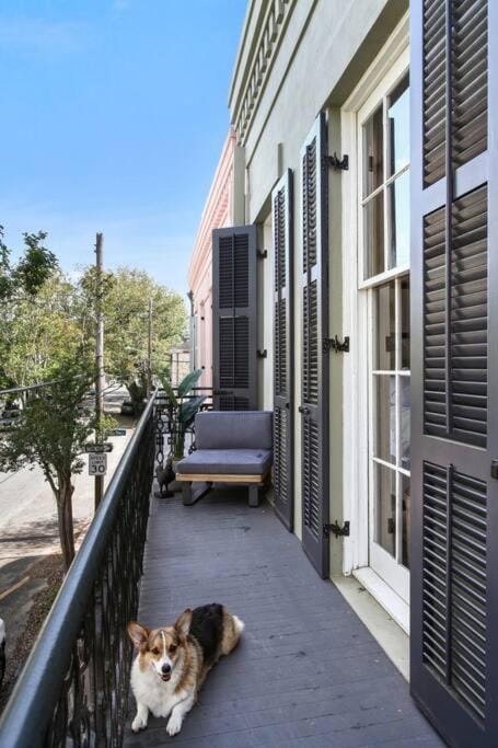 Historic Garden District 5BR with Parking and Balcony Apartment in New Orleans