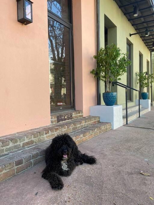 Historic Garden District 5BR with Parking and Balcony Apartment in New Orleans