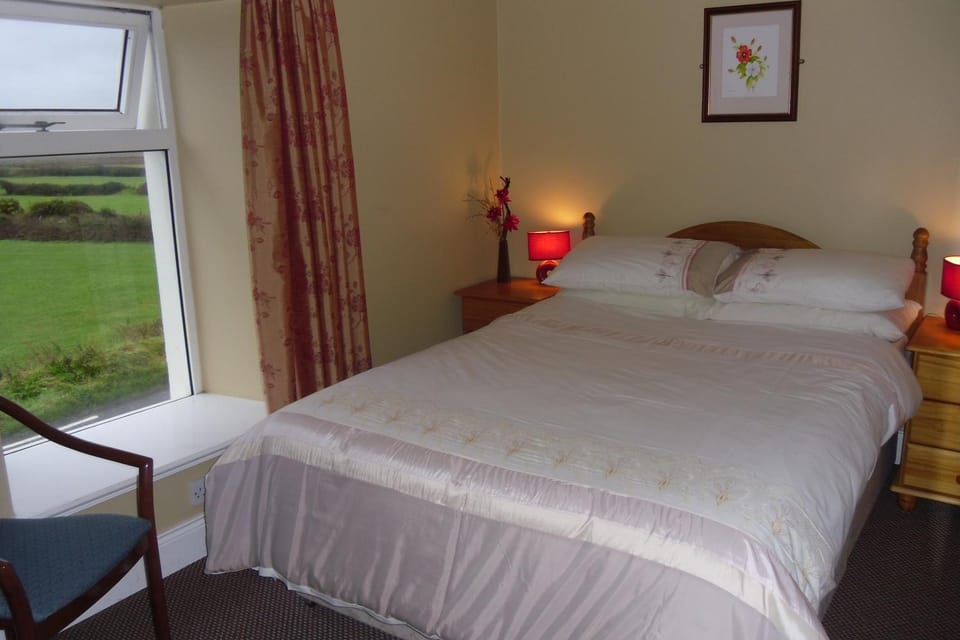 Food and drinks, Photo of the whole room