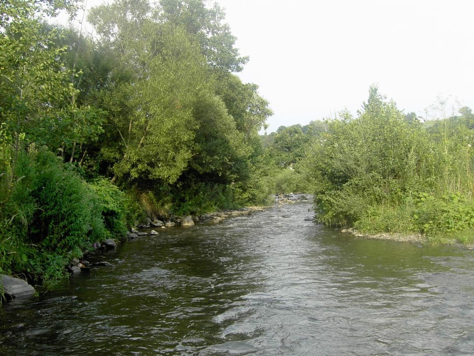 Fishing
