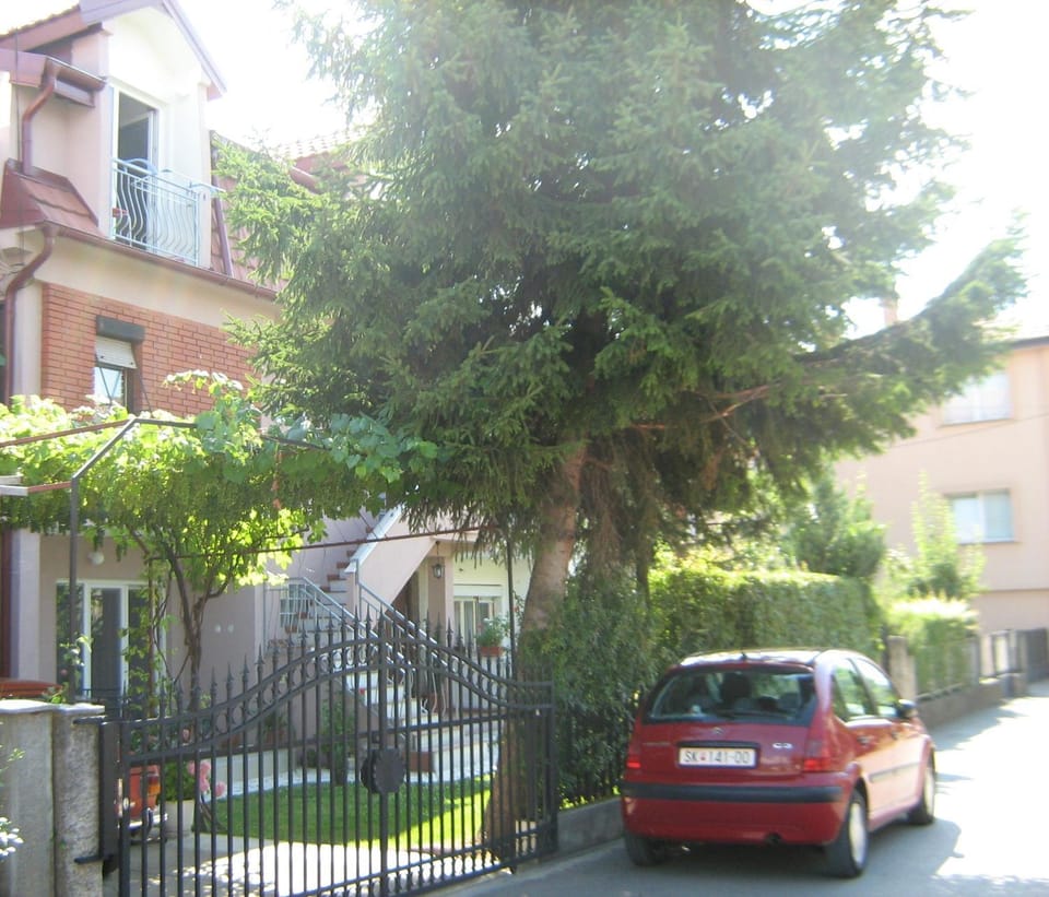 Property building, Garden view
