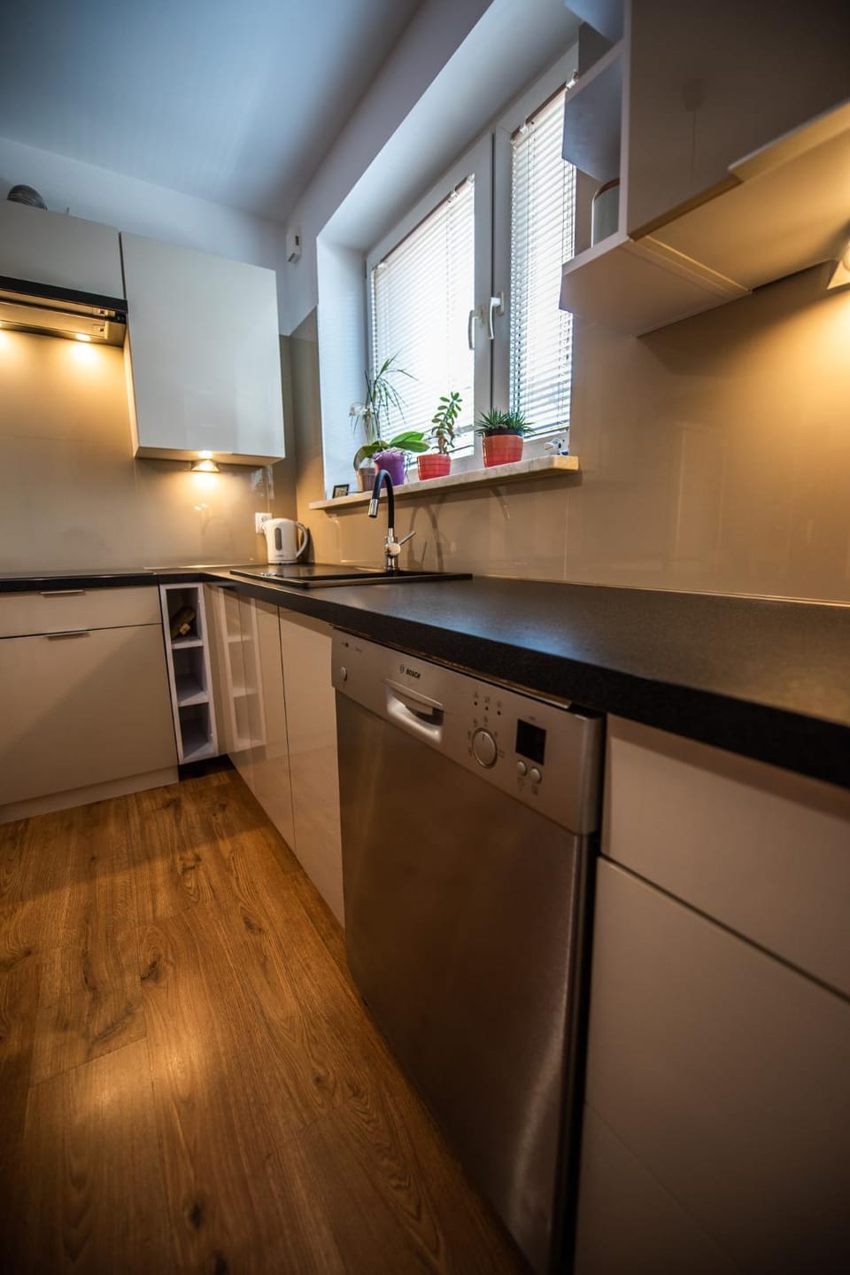 Kitchen or kitchenette, dishwasher, stove