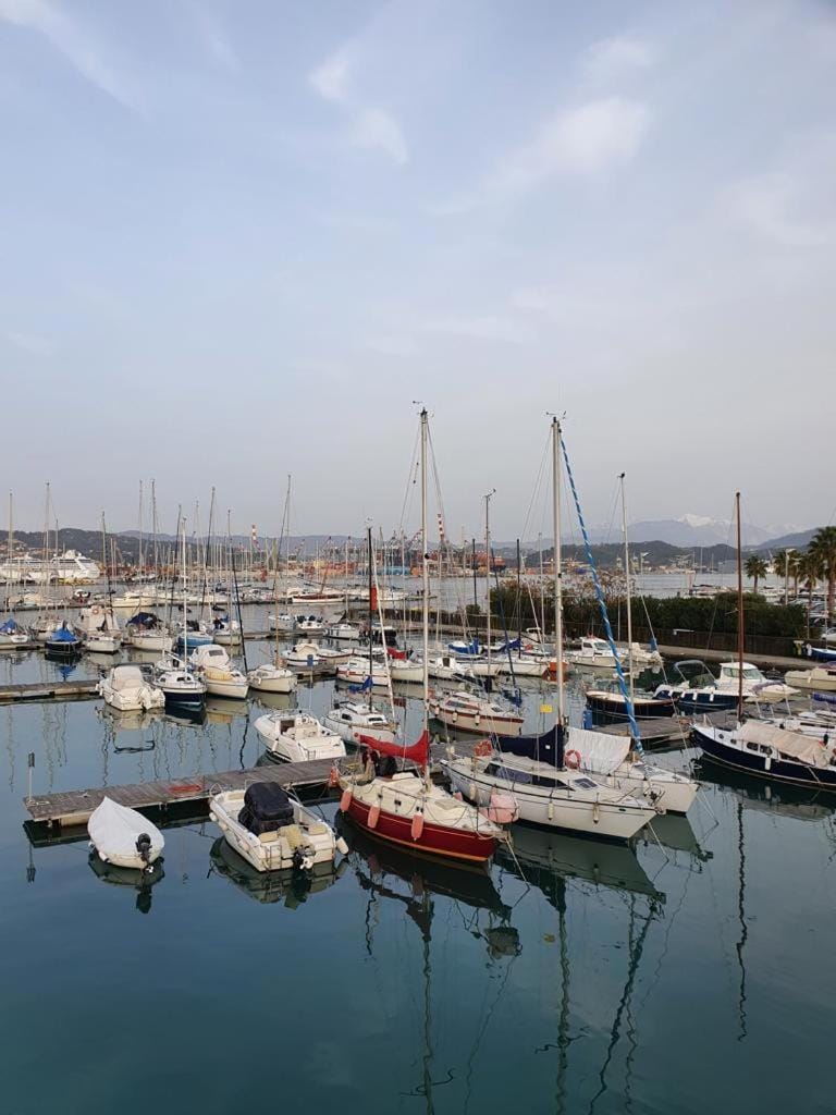 Property building, Activities