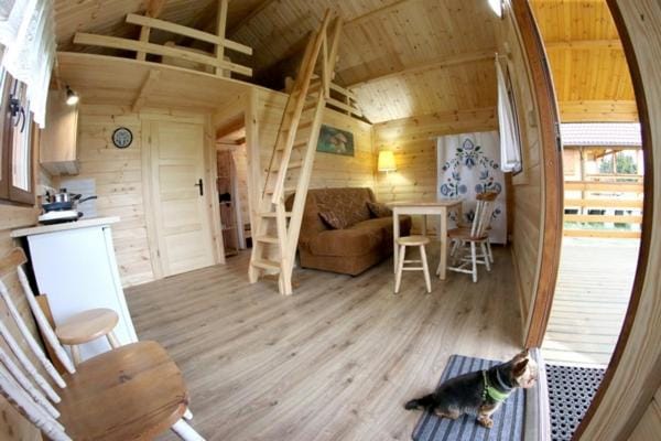 Abisynia Kaszubska Wiele Borsk miedzy jeziorami Wielewskim i Wdzydzkim House in Pomeranian Voivodeship