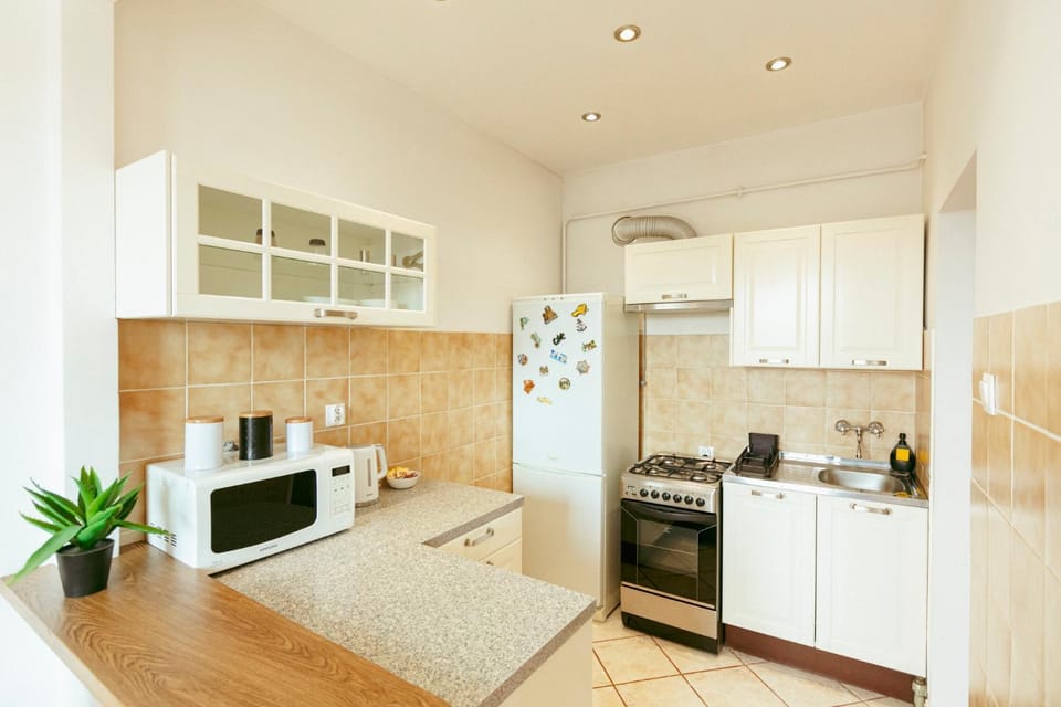 Kitchen or kitchenette, minibar, stove