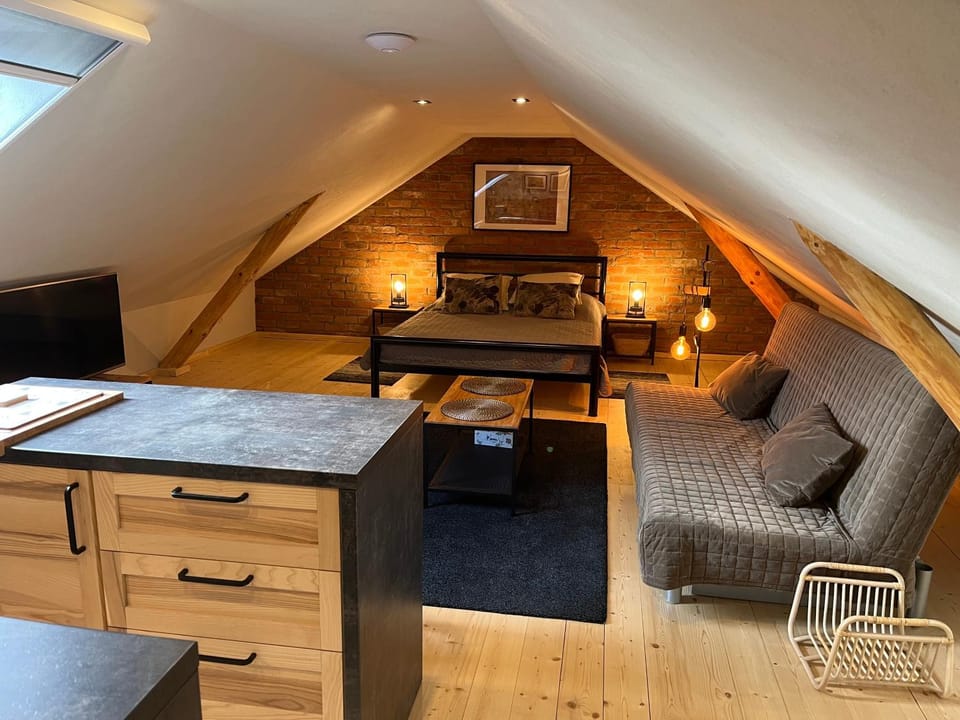 Bed, Kitchen or kitchenette, Living room, Photo of the whole room, Seating area, Bedroom