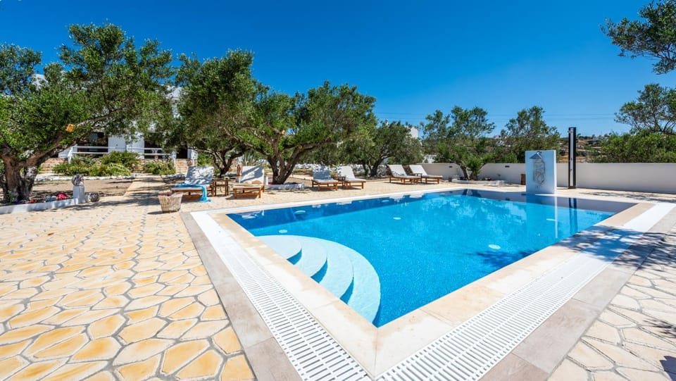 Day, Pool view, Swimming pool, Swimming pool, sunbed