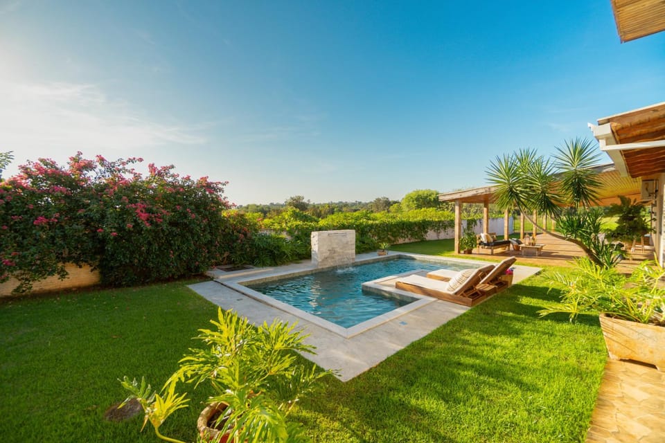 Patio, Spring, Day, Natural landscape, Garden, Garden view, Pool view, Swimming pool, sunbed