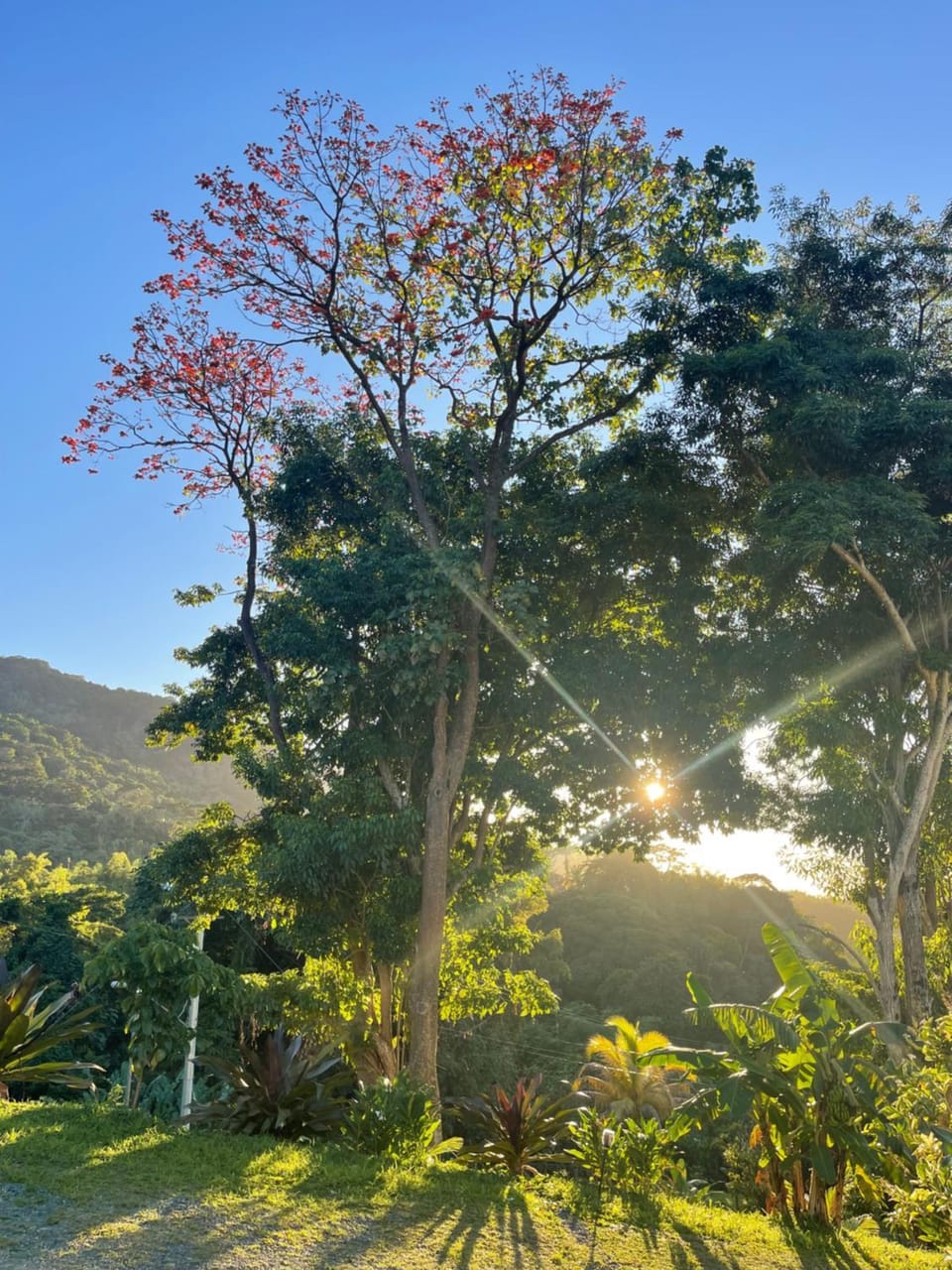 The Victory Villa Bed and Breakfast in Western Tobago