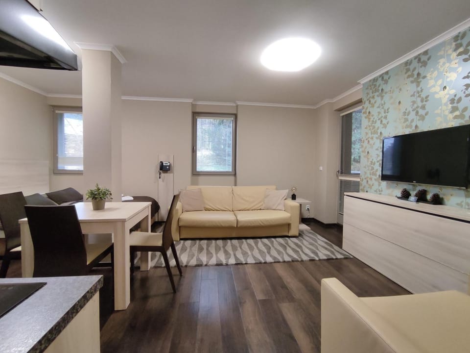 Communal lounge/ TV room, TV and multimedia, Kitchen or kitchenette, Living room, Seating area, Dining area, Evening entertainment