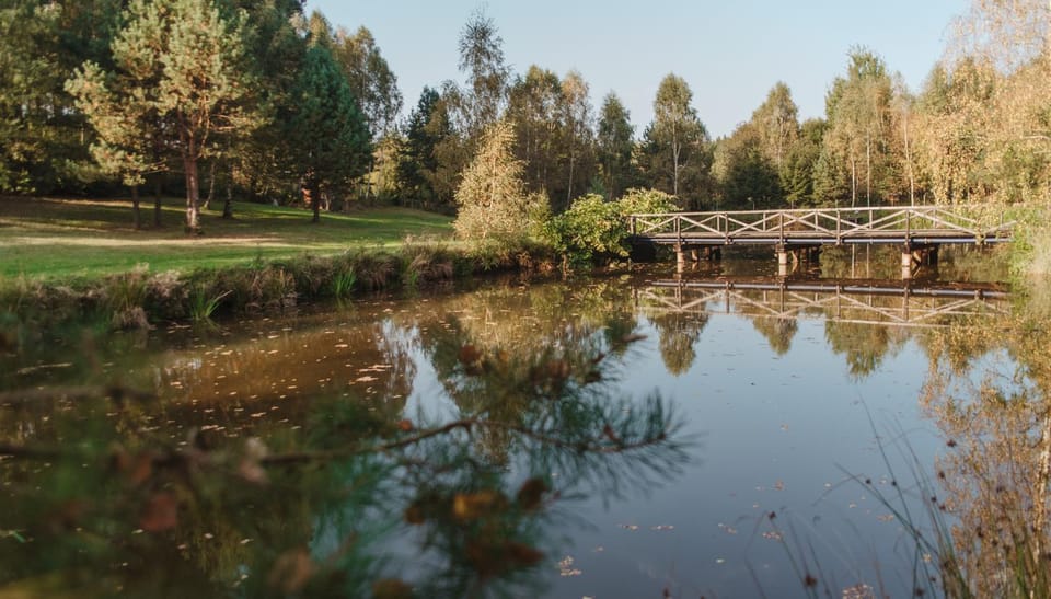 Natural landscape, Area and facilities