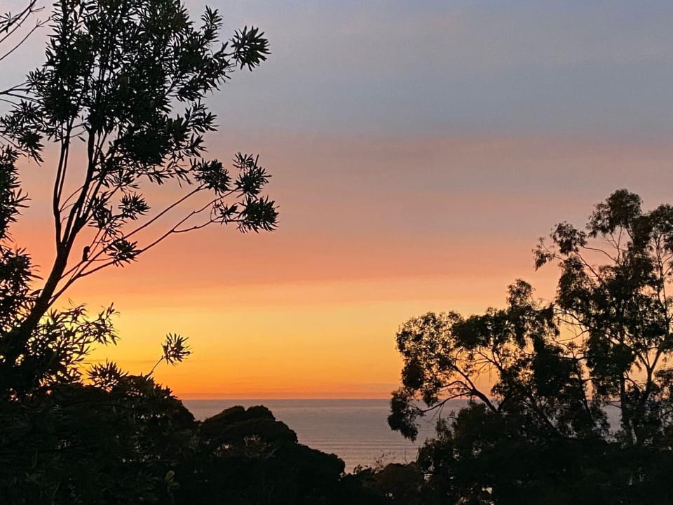 Vacation Mode House in Lorne