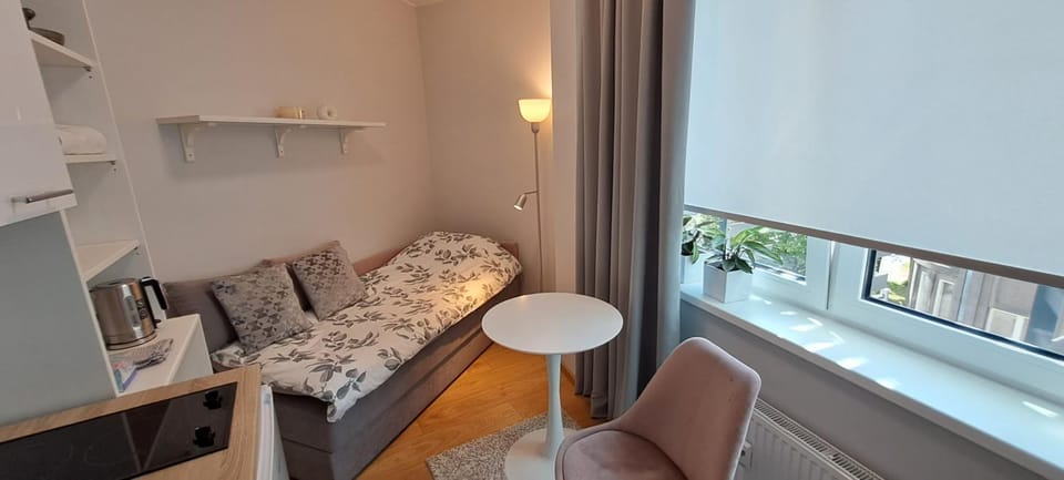 Pepleri Studio 67 Apartment in Estonia