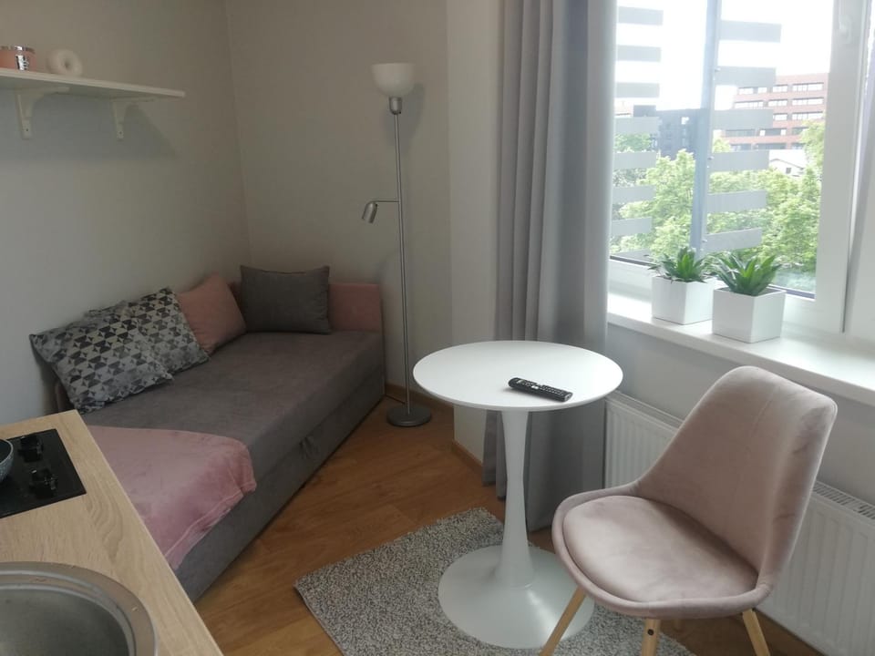 Pepleri Studio 67 Apartment in Estonia
