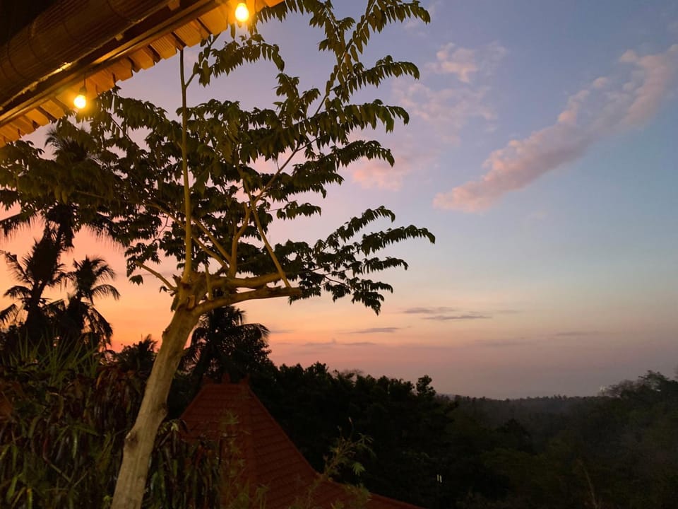 Restaurant/places to eat, View (from property/room), Sea view, Sunset