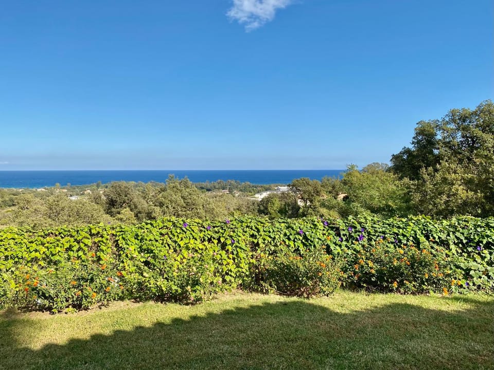 Spring, Day, Natural landscape, Sea view