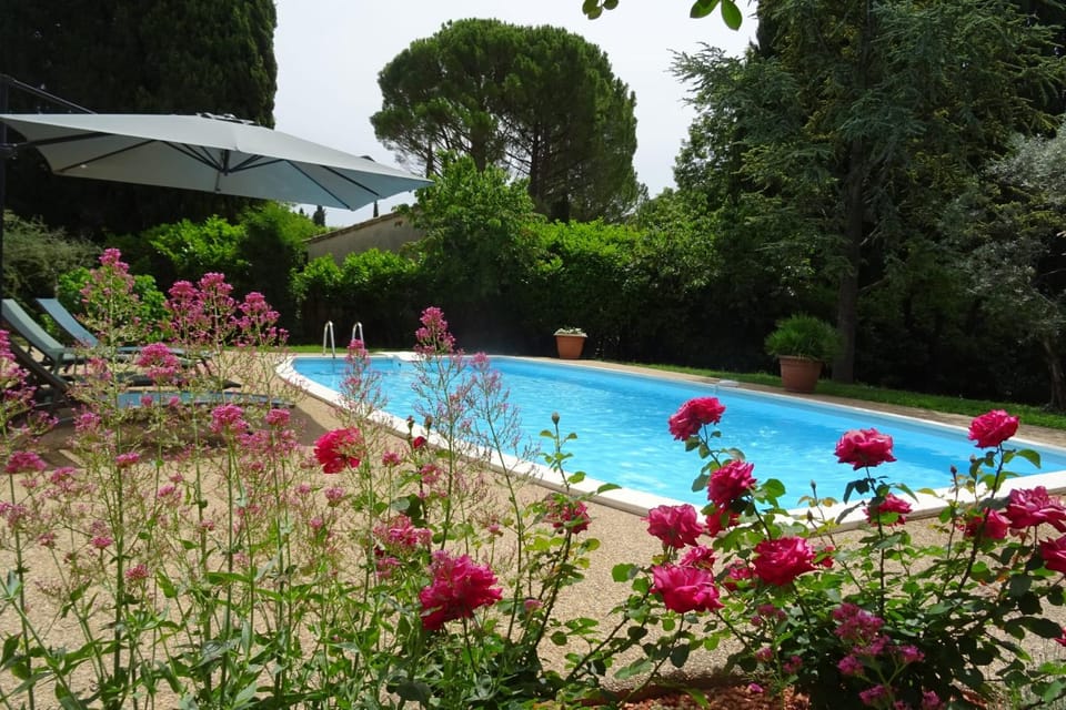 The Blue Tit - private swimming pool House in L'Isle-sur-la-Sorgue