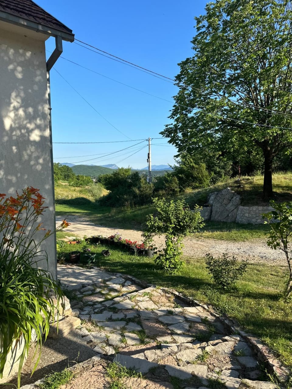Garden view