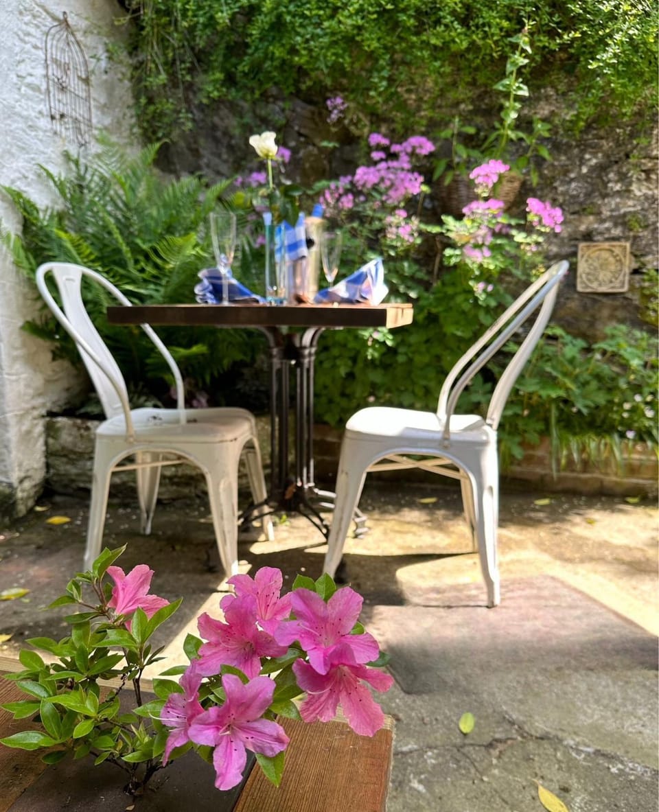 The Artist's Retreat Apartment in West Devon District