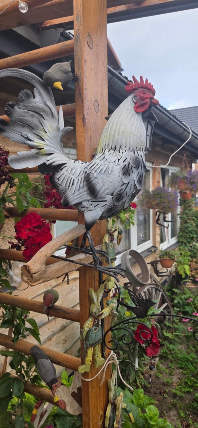 Agroturystyka Pod Kogutem Farm Stay in Poland