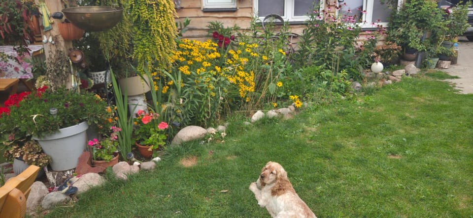 Agroturystyka Pod Kogutem Farm Stay in Poland