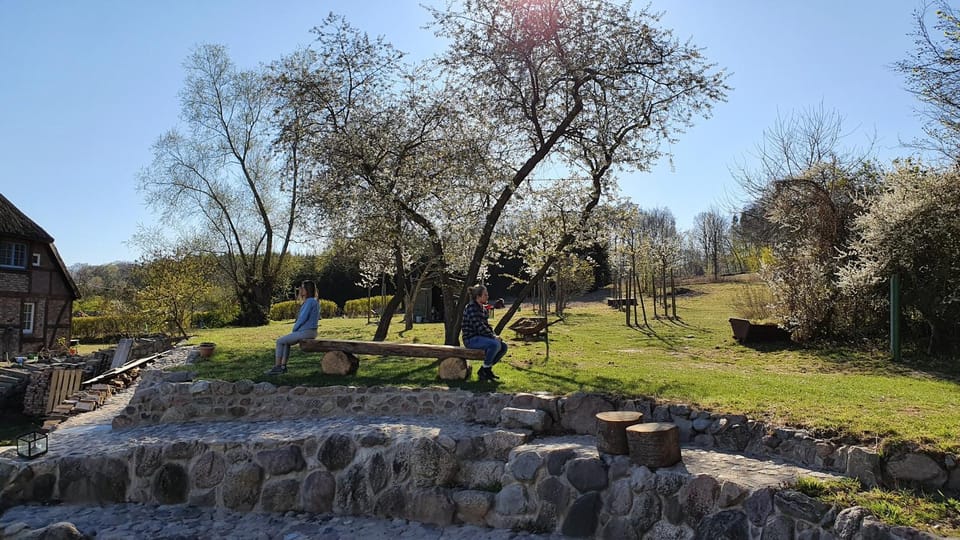 Spring, Natural landscape, Garden, Garden view, Landmark view