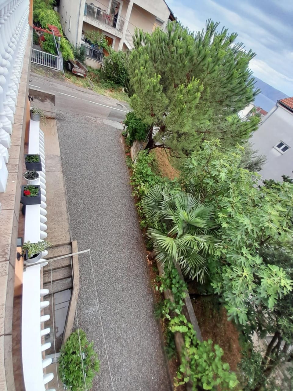 Garden view