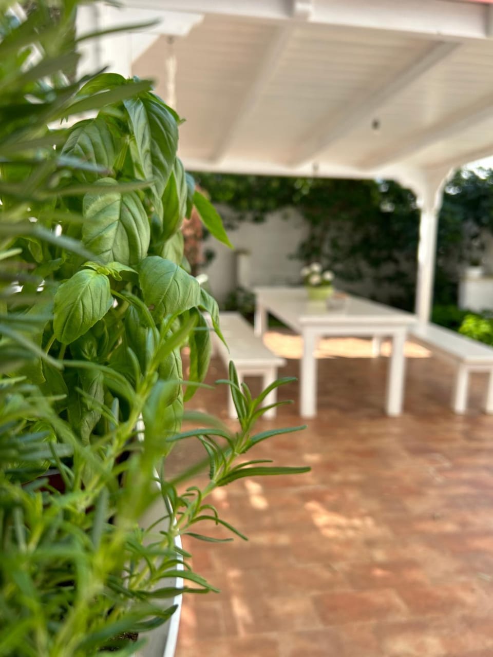 Casa Sally House in Nardò