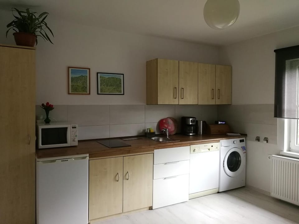 Coffee/tea facilities, Kitchen or kitchenette, dishwasher, oven, pet friendly, stove, toaster, washing machine