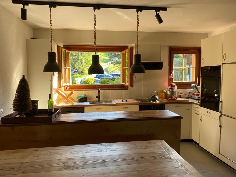 Kitchen or kitchenette, oven, pet friendly, stove