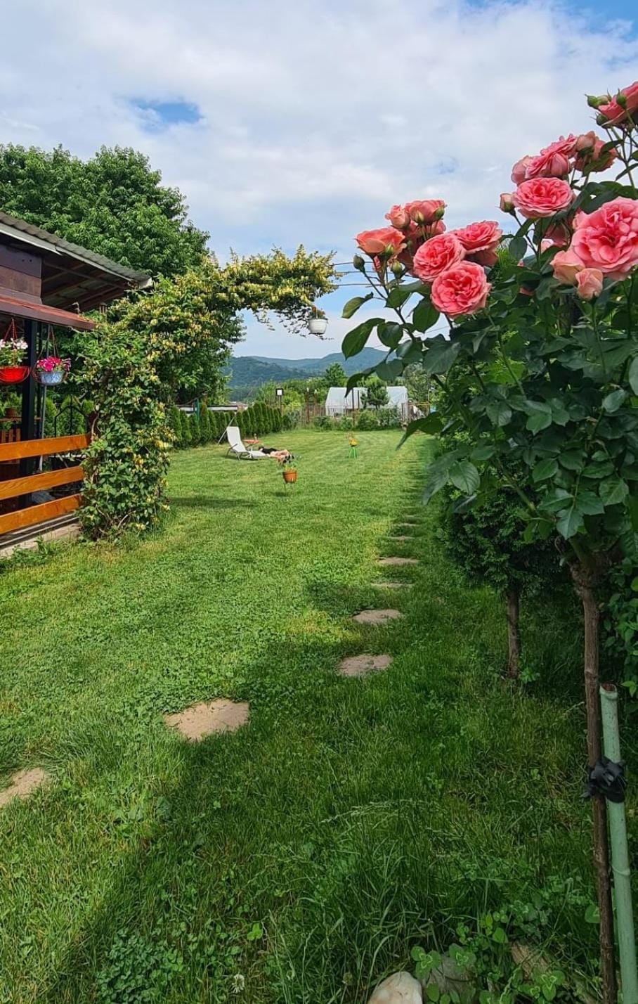 Casa Ursului Bed and Breakfast in Romania