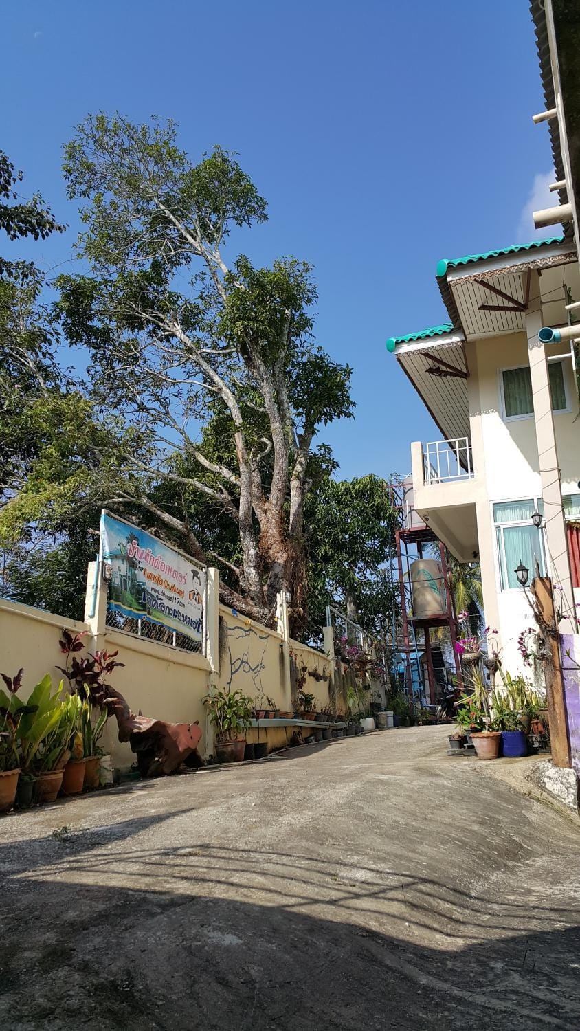 Natural landscape, Inner courtyard view