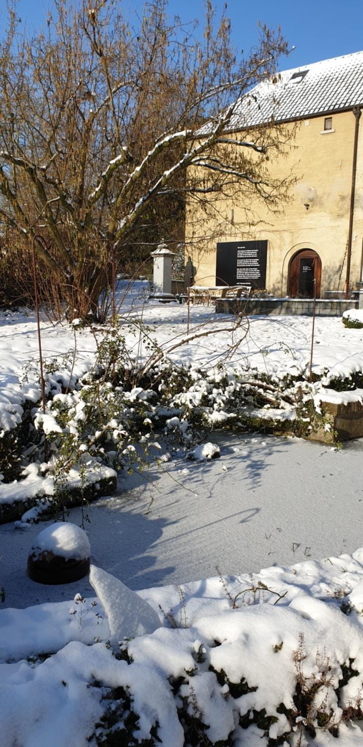 Winter, Garden