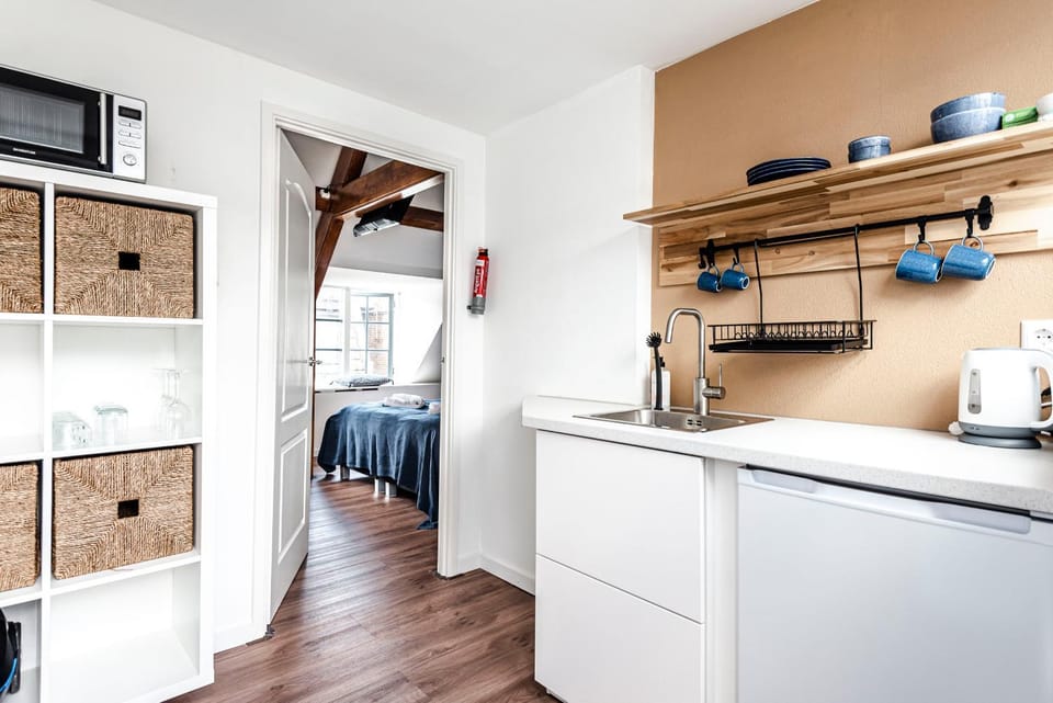 't Duinpannetje Apartment in Zandvoort