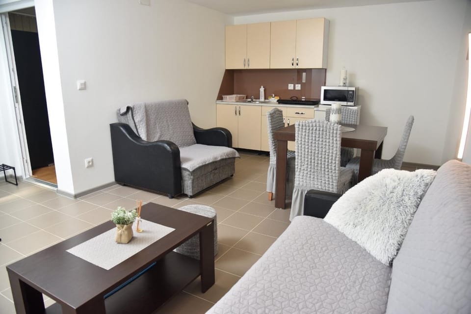 Boja Zalaska - kameni apartman Apartment in Serbia