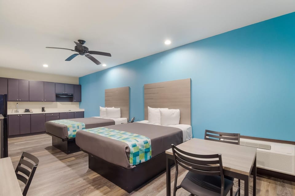 Kitchen or kitchenette, Photo of the whole room