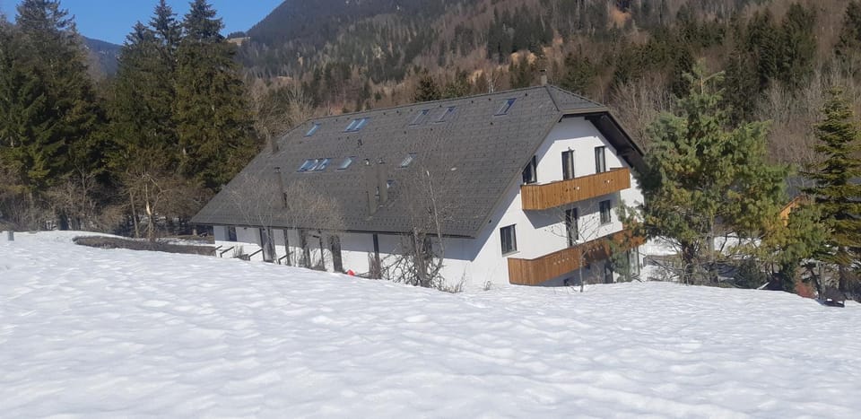 Property building, Natural landscape, Winter