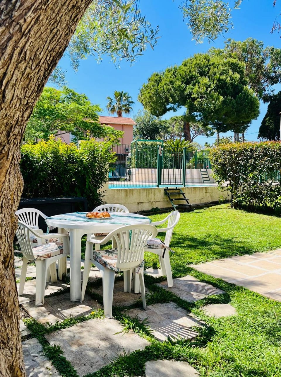 Garden, Swimming pool, Swimming pool