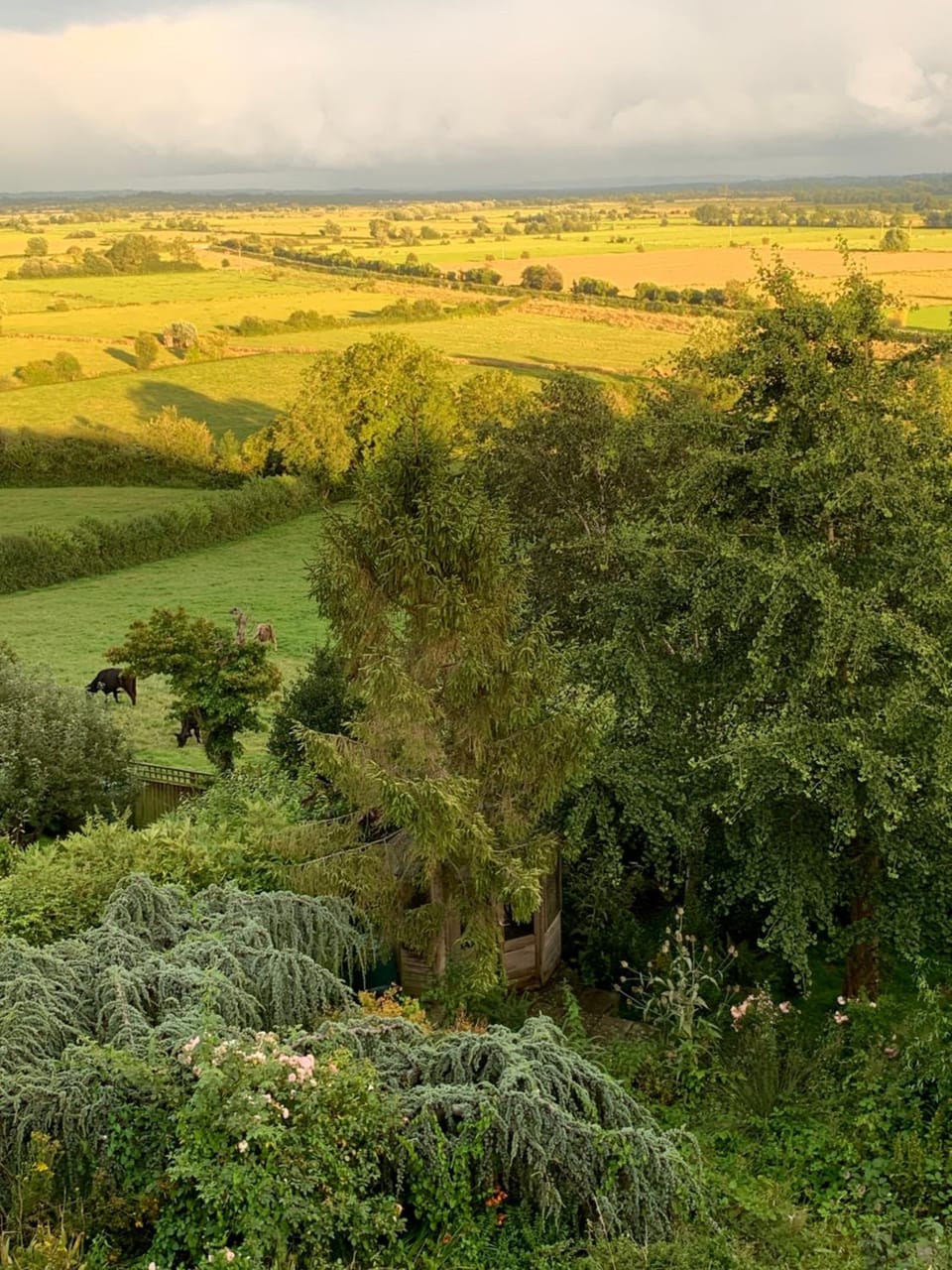 Natural landscape, Garden, Balcony/Terrace, Garden view