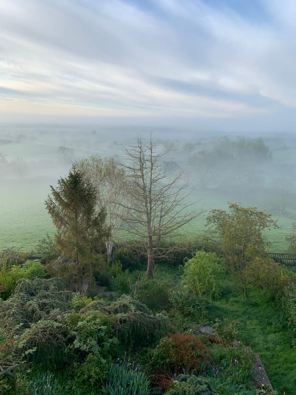Natural landscape, Garden, Balcony/Terrace