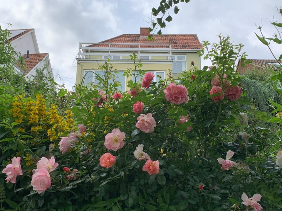 Property building, Garden, Garden view