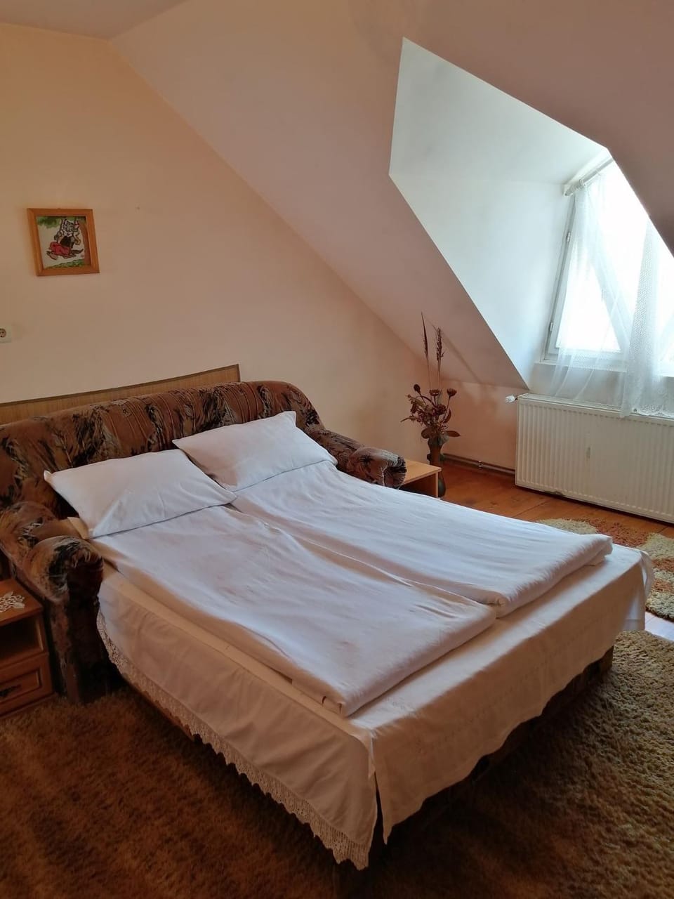 Fodor Vendégház Bed and Breakfast in Romania