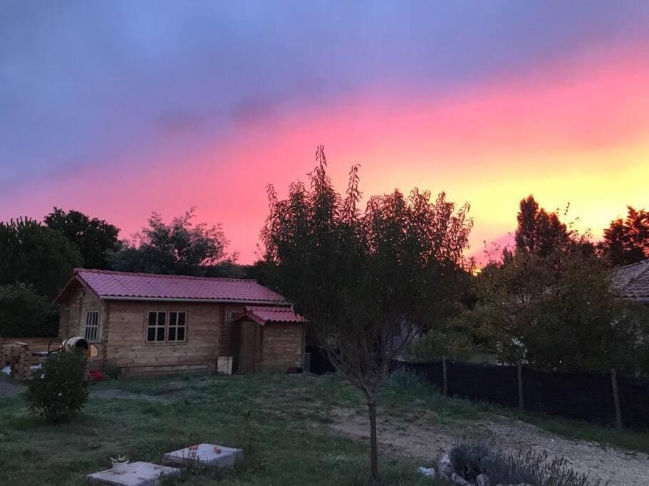 Garden, Garden view, Sunrise