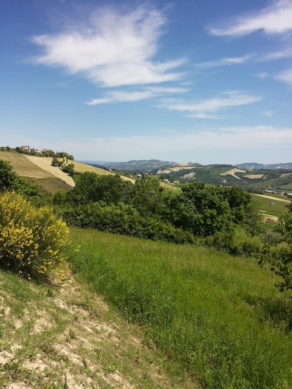 Day, Natural landscape
