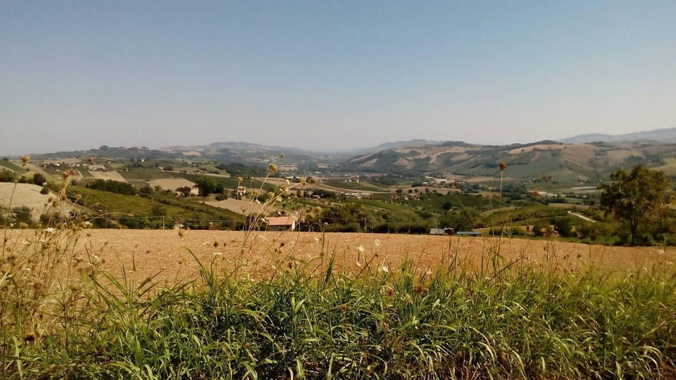 Day, Natural landscape