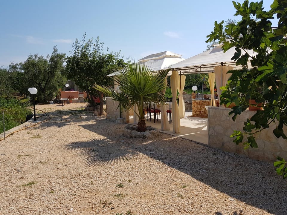 Spring, Day, Garden, Garden view, Dinner