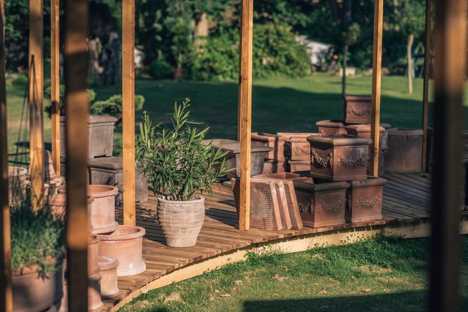 Patio, Garden, Garden view