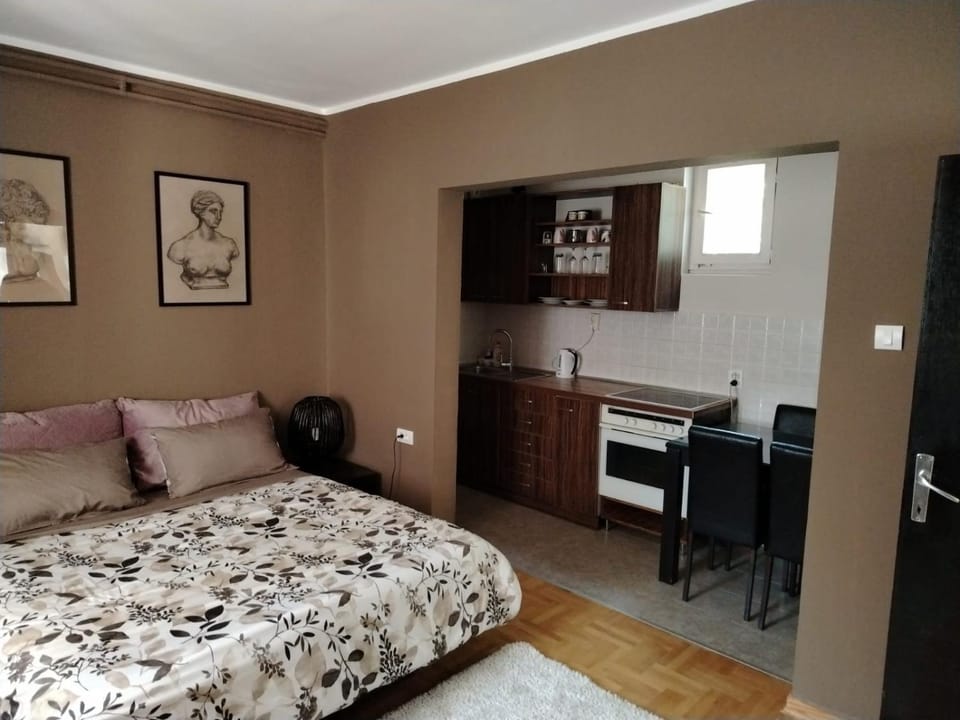 danguba 2 Apartment in Vojvodina