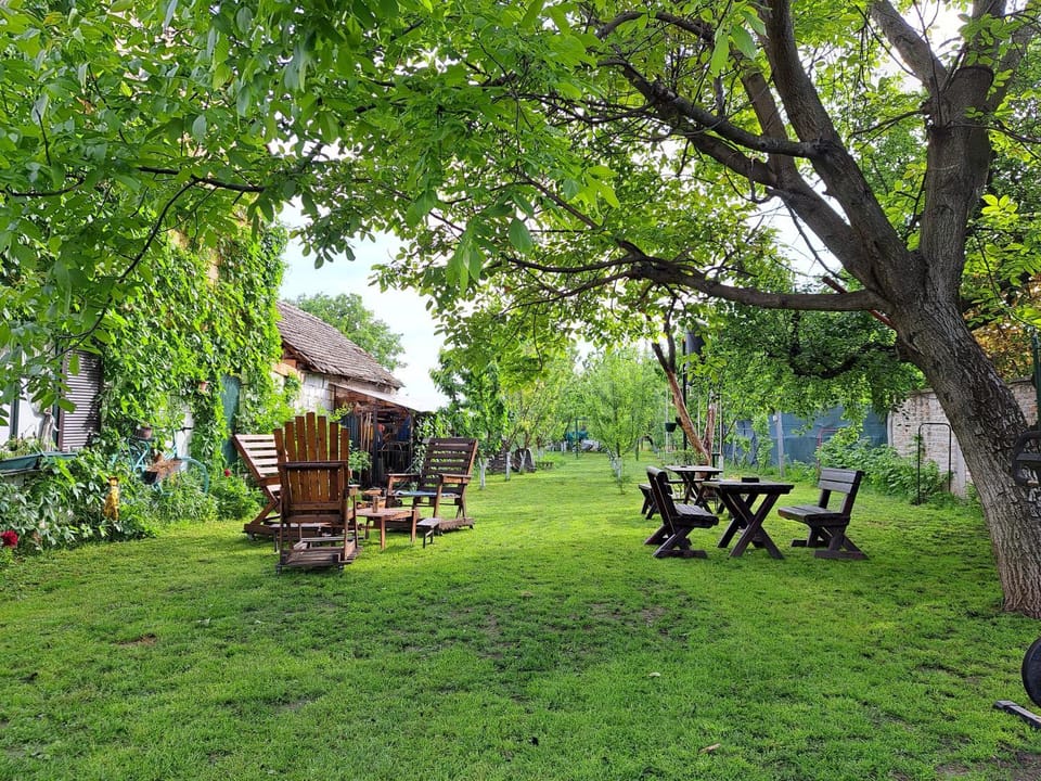 Day, Natural landscape, Garden, Garden view